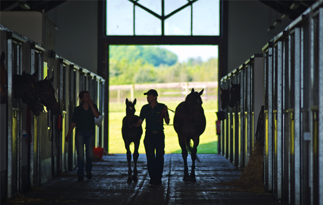 A.SMY_TBA-Newsells0180