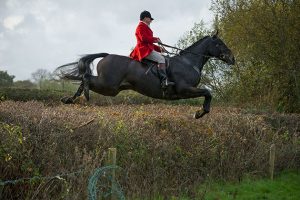 hunting pictures