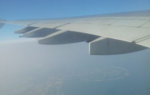 Shaun Mandy dressage blog