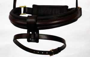 flash noseband conversion kit