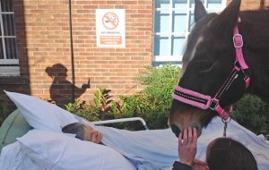 Horse Patient Daughter