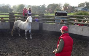 Tom working with Star and Team Tutsham