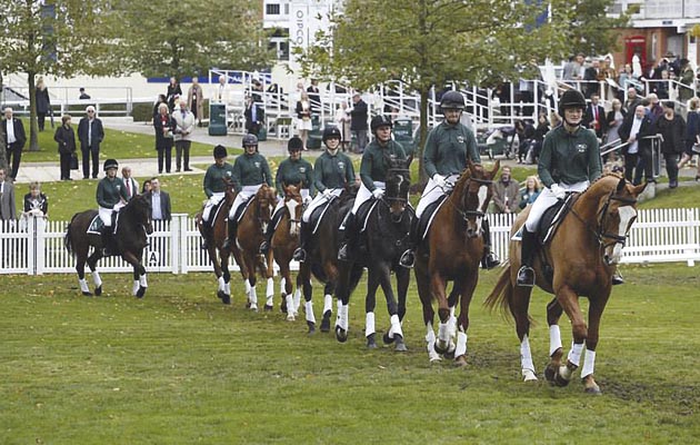 Ex-racehorses on parade at Ascot