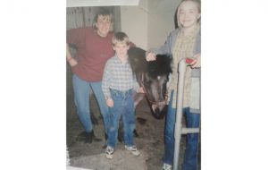 Shetland pony