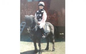 Shetland pony