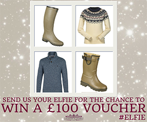 Country-Stable-native