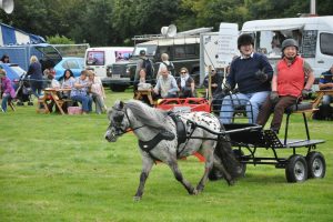 Sally lloyd with her British Spotted Pony put to a fun bug