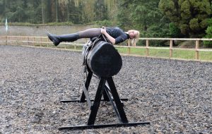 StuntRiding_NewYearChal14pn_50903