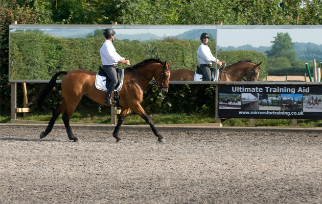 Ultimate-Training-aid