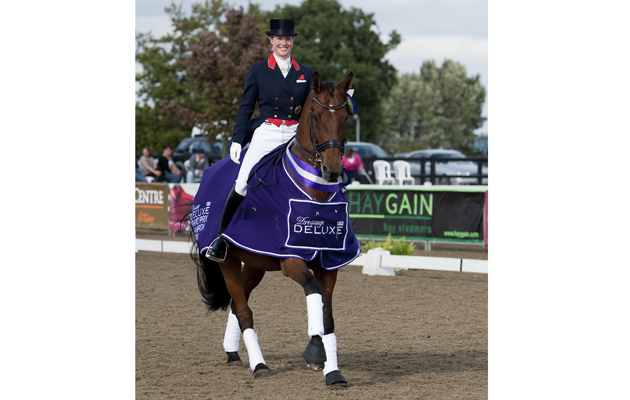 LAURA TOMLINSON GALLERY