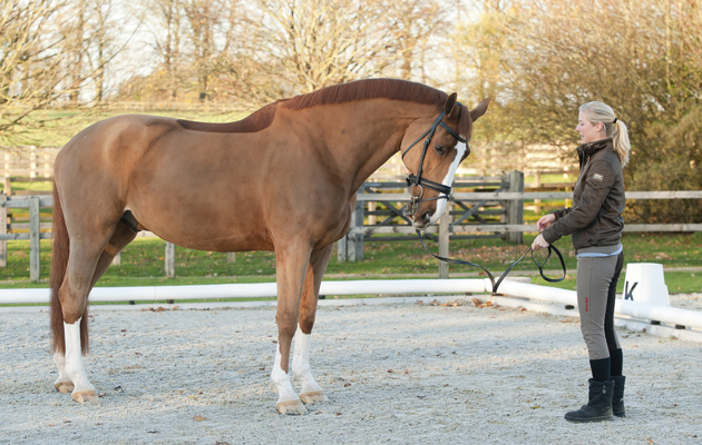 LAURA TOMLINSON GALLERY