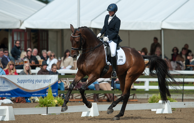 LAURA TOMLINSON GALLERY