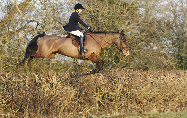 LAURA TOMLINSON GALLERY