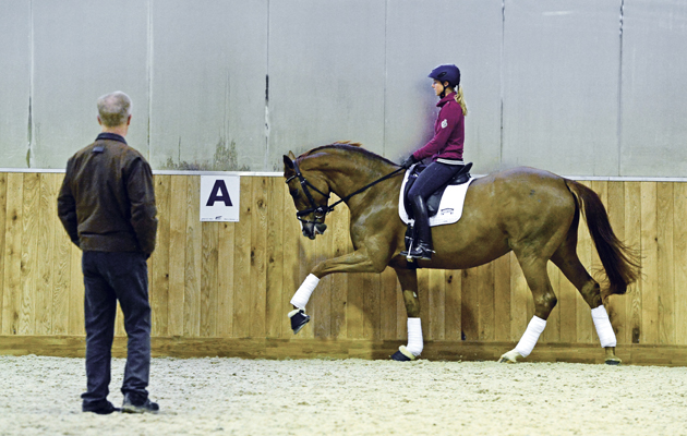 LAURA TOMLINSON GALLERY