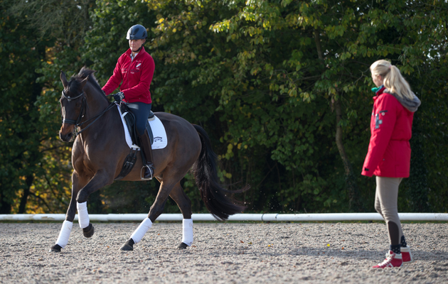 LAURA TOMLINSON GALLERY