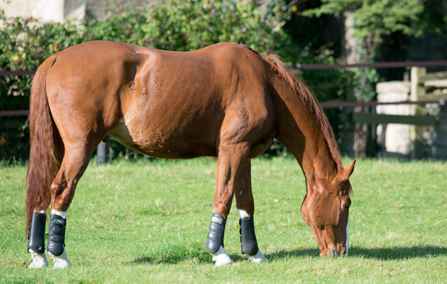 LAURA TOMLINSON GALLERY