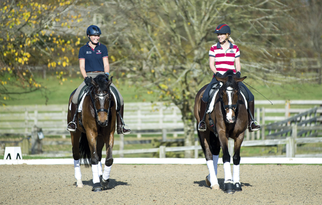 LAURA TOMLINSON GALLERY