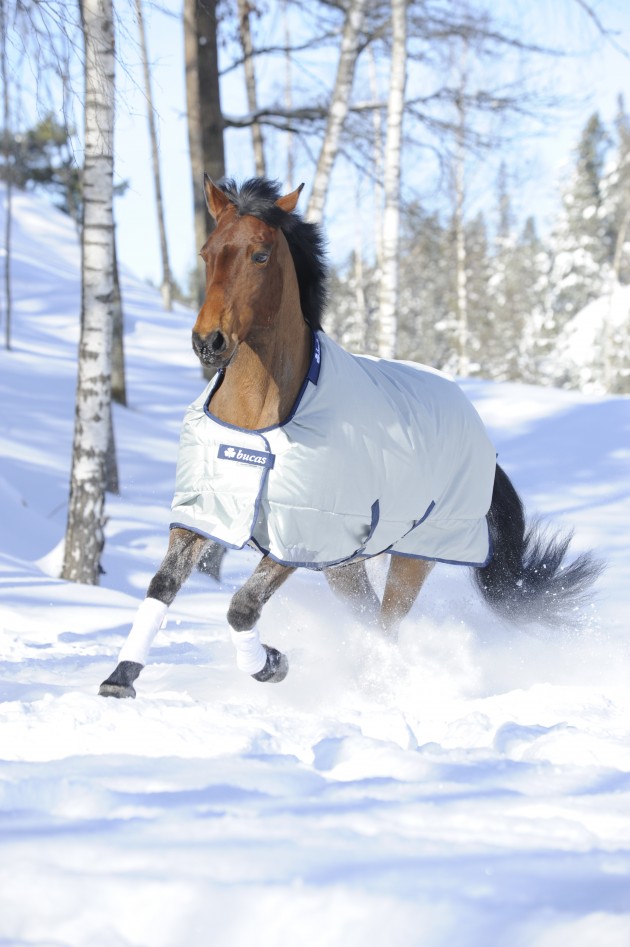 8 of the best heavyweight turnout rugs Horse & Hound