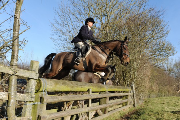Fitzwilliam Hunt 24.01.15