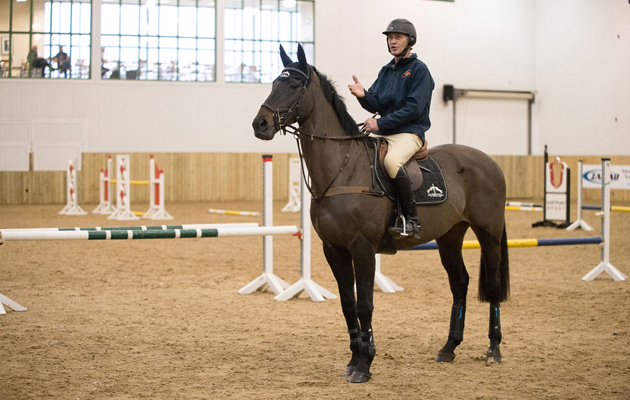 International Eventing Forum 2015 MHS King Joules