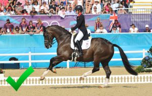Valegro shows incredible flexion of the joints in canter, particularly behind