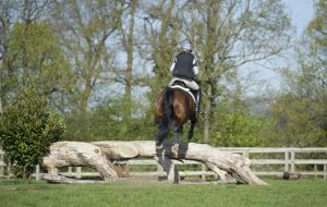 cross-country schooling