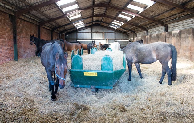 Artificial Insemination shoot 04 03 2015