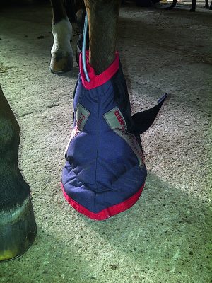 29.IMG-20110919-00163