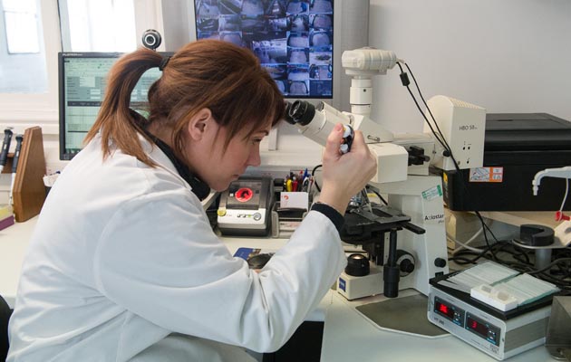 Artificial Insemination shoot 04 03 2015