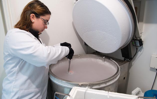 Artificial Insemination shoot 04 03 2015