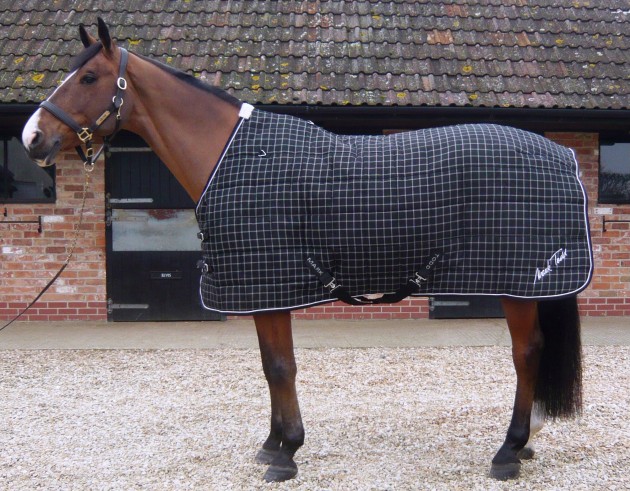 5.Mark Todd Mediumweight Stable Rug