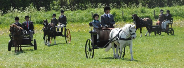 8. BDS Show Young drivers class