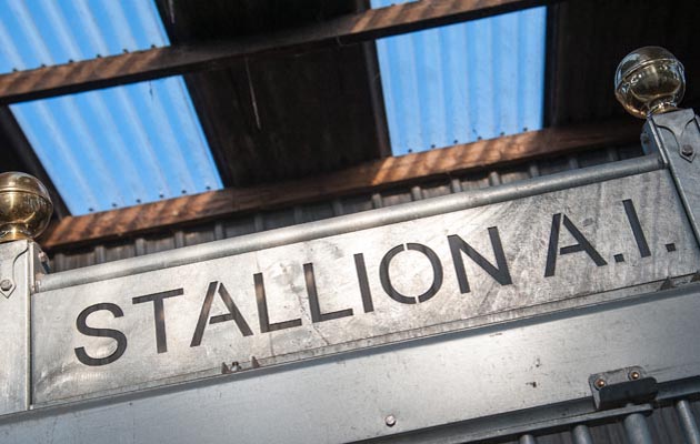 Artificial Insemination shoot 04 03 2015