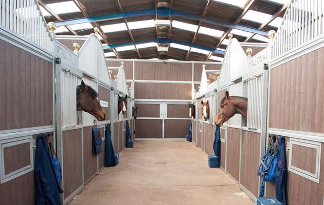 Artificial Insemination shoot 04 03 2015