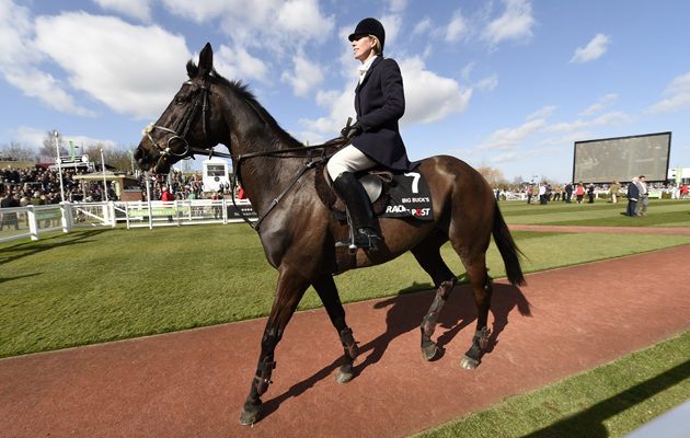 Cheltenham Festival Day 1 10 03 2015