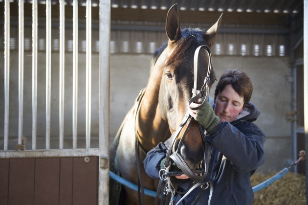 Libby Cooke and Harley Foxtrot