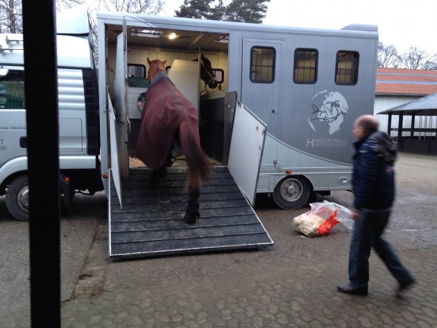 Shaun Mandy leaving denmark