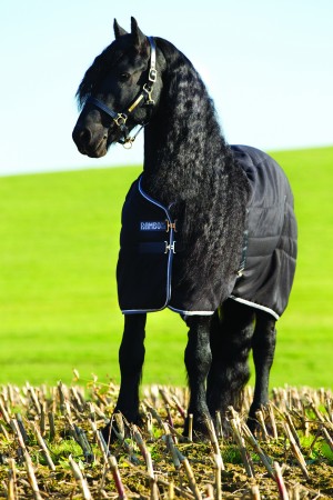 Rambo Stable Rug - Medium 200g
