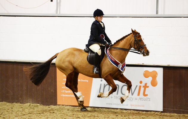 Ponies Association (UK) Winter Classic 2015 on 28 03 2015