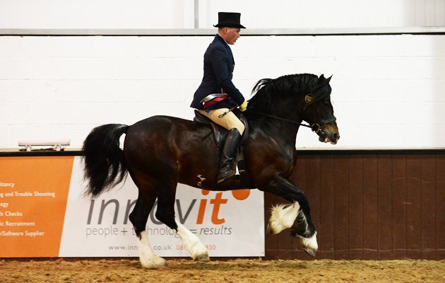 Ponies Association (UK) Winter Classic 2015 on 28 03 2015