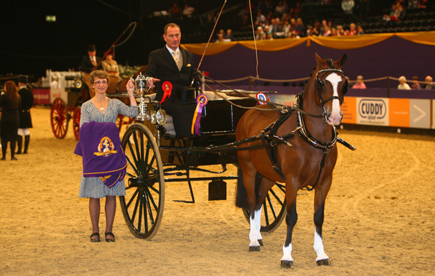 HOYS 07 10 2010