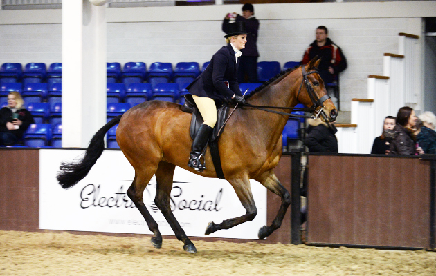 Ponies Association (UK) Winter Classic 2015 on 28 03 2015