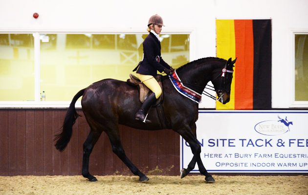 Ponies Association (UK) Winter Classic 2015 on 28 03 2015