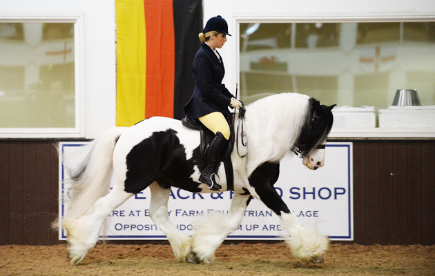 Ponies Association (UK) Winter Classic 2015 on 28 03 2015