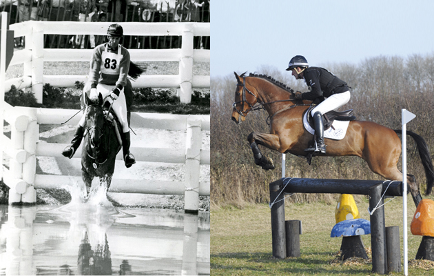 6 Mark Todd both