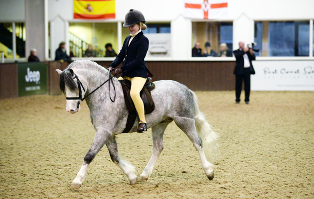 Ponies Association (UK) Winter Classic 2015 on 28 03 2015