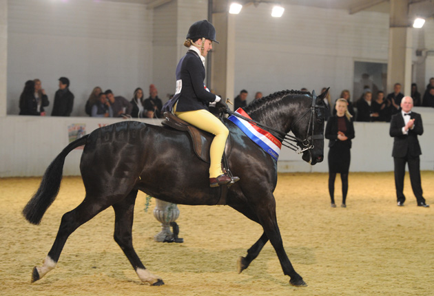 BSPS Winter Champs. Friday 03.04.15