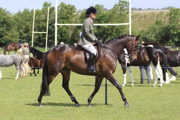 Bramble - ROR Showing