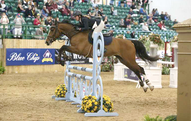 Class 2 HorseQuest UK NoviceChampionship winner Heather Broad and Caretina li B F Z