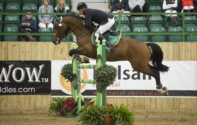 Blue Chip Winter Championships 2015 at Hartpury